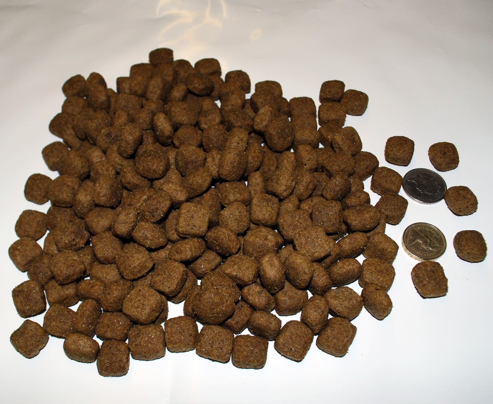 harringtons hypoallergenic dog food lamb