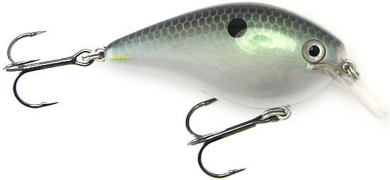 Strike King KVD Square Bill 1.5 Crankbait Tennessee Shad for sale