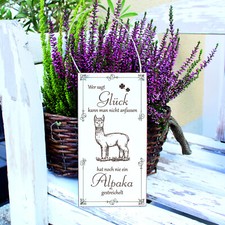 Schild Glück kann man streicheln Spruch + Tier Deko Geschenk Tierfreund 10x20 cm