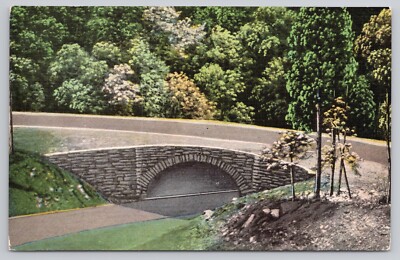 Loop Over Bridge Great Smoky Mountains National Park TN Chrome Postcard Unposted
