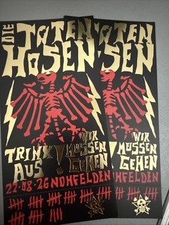 2 Tickets Stehplatz Die Toten Hosen 22.08.26 Nohfelden/Bostalsee