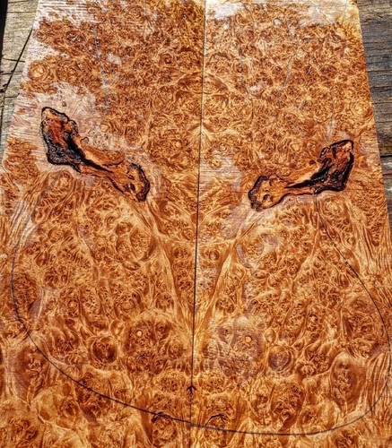 exotic Burl maple guitar top wood or bass figured wood 4 luthier
