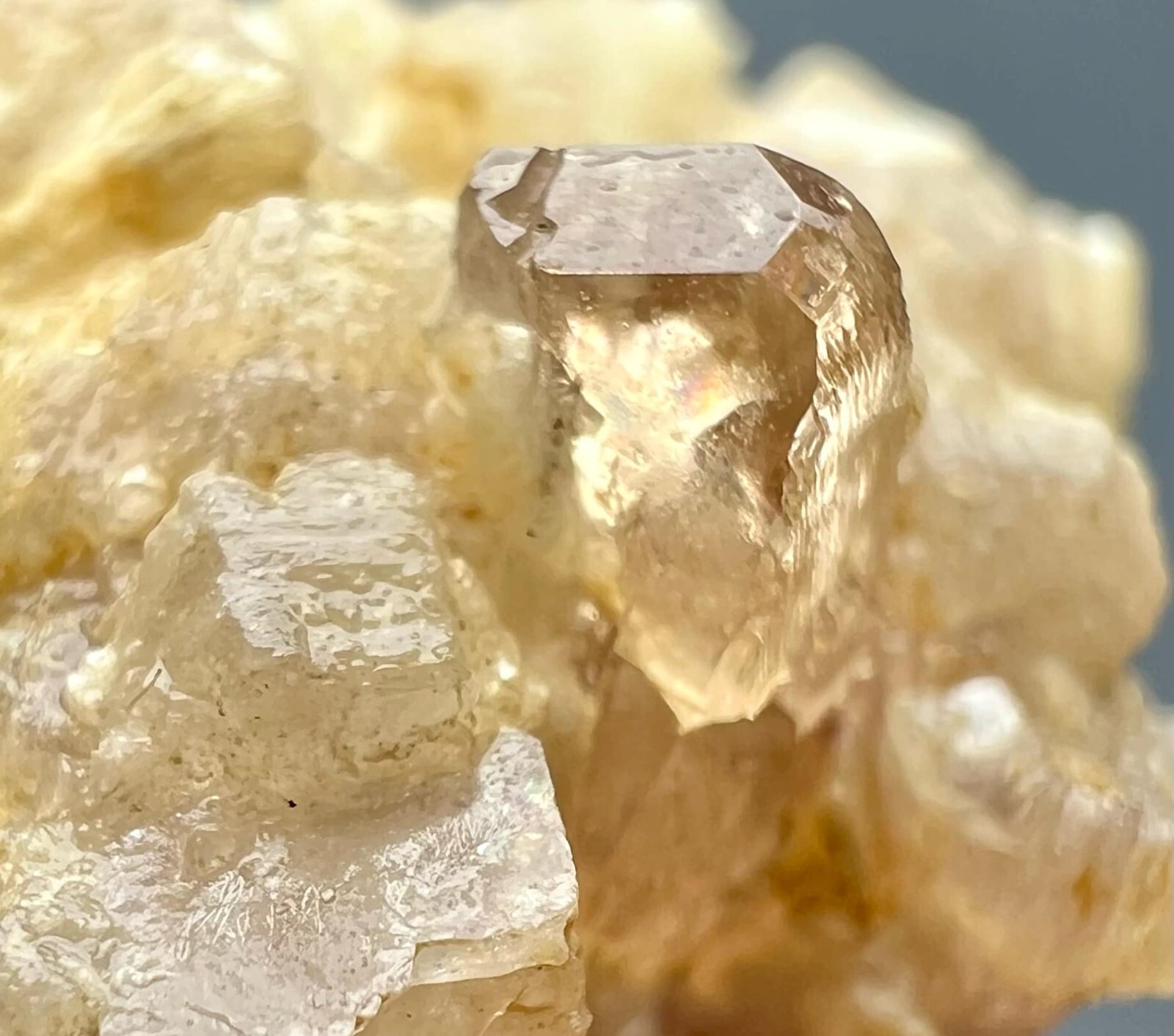 186 Carat Wow !!! Beautiful Honey Color Topaz Huge Crystals On Feldspare @PAK