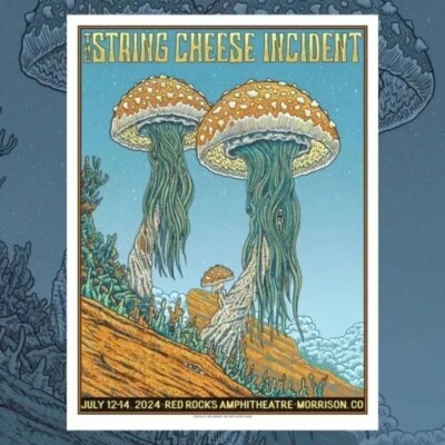 The String Cheese Incident ポスター 限定750枚 The String Cheese Incident - Milwaukee, WI — Conscious Alliance