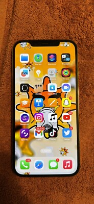 iPhone 12 Pro Max (with TikTok & OG Twitter)