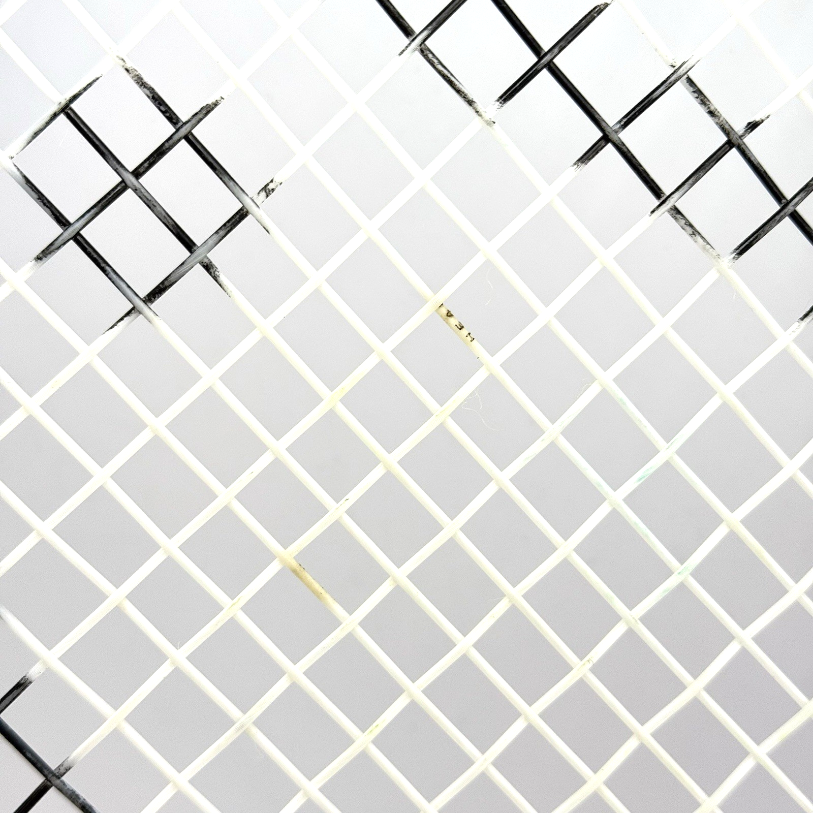Picture 5 of 20