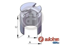 Autofren Seinsa D02554 Kolben, Bremssattel Hinterachse FÜR Alfa Romeo Audi Chry