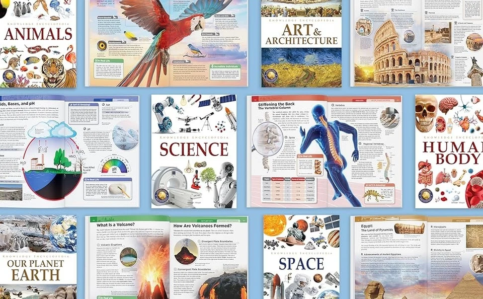 Knowledge Encyclopaedia Boxed Set 8 Paperback Books For Kids Age Group 10+ - Image 3 of 4