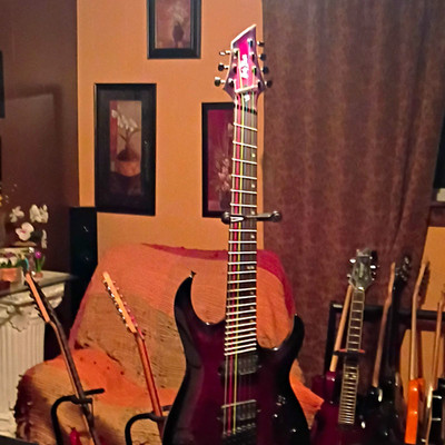 Harley Benton FanFret-7 Progressive 7-String,locking tuners,and bridge.