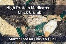 Medicated Quail Chick Starter Crumb 29% High Protein – 500g Poultry Chick Feed