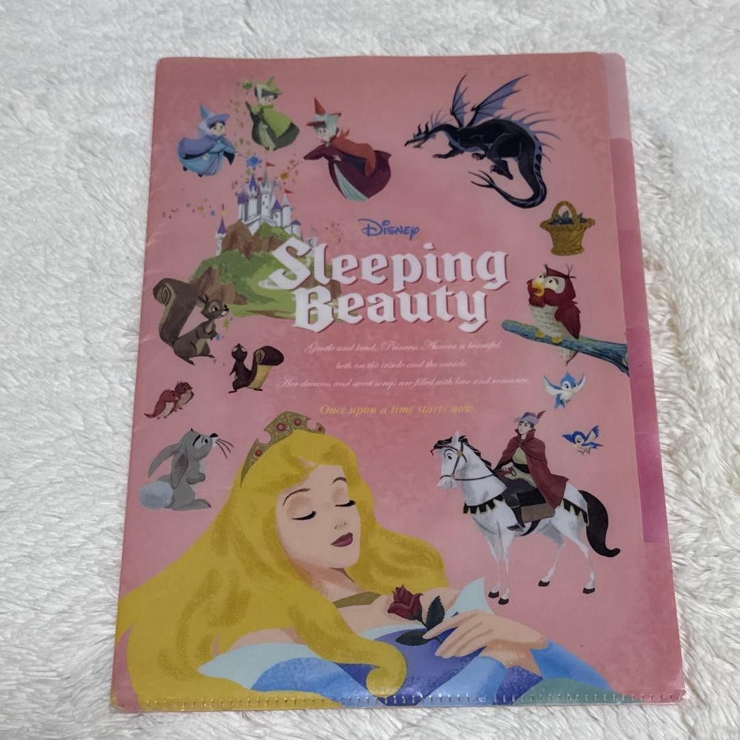 Disney Ariel Sleeping Beauty Princess Aurora A4 Clear File
