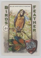 2021 Topps Allen & Ginter's Birds of a Feather Blue-and-Gold Macaw #BOF-4 0ov8