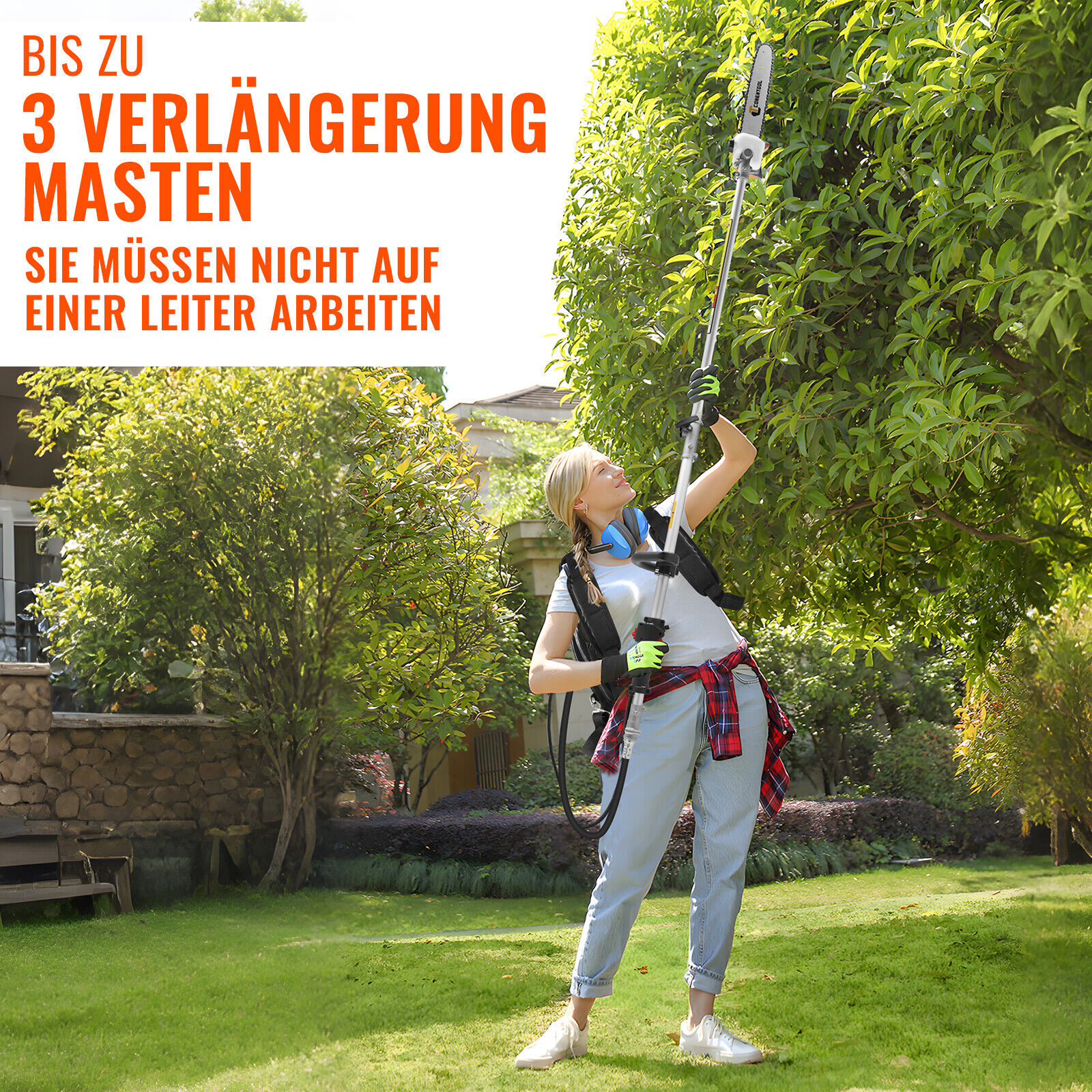 Bild 10 von 12