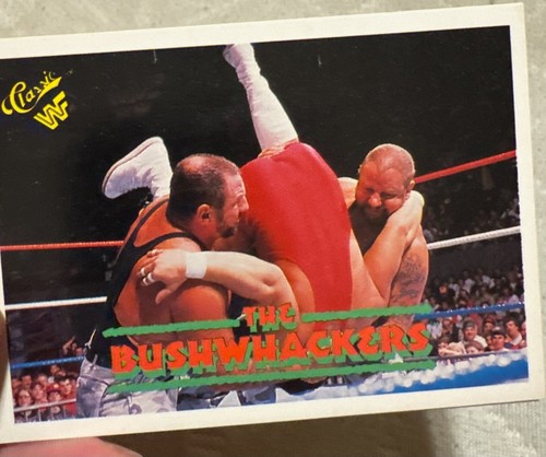 #47 The Bushwhackers Butch and Luke 2 Card - Picture 1 of 3