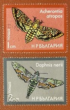 1964 Bulgaria Moths Insects 1st 2st Acherontia Atropos Daphnis Nerii Used No Gum