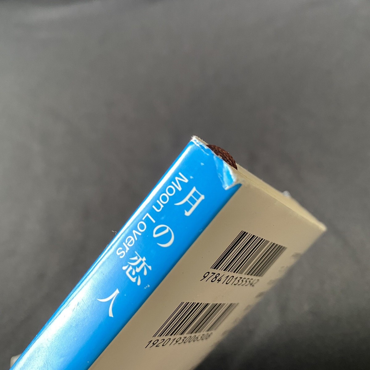 Japanese Novel Book Romance Moon Lovers Shusuke MIchio 道尾