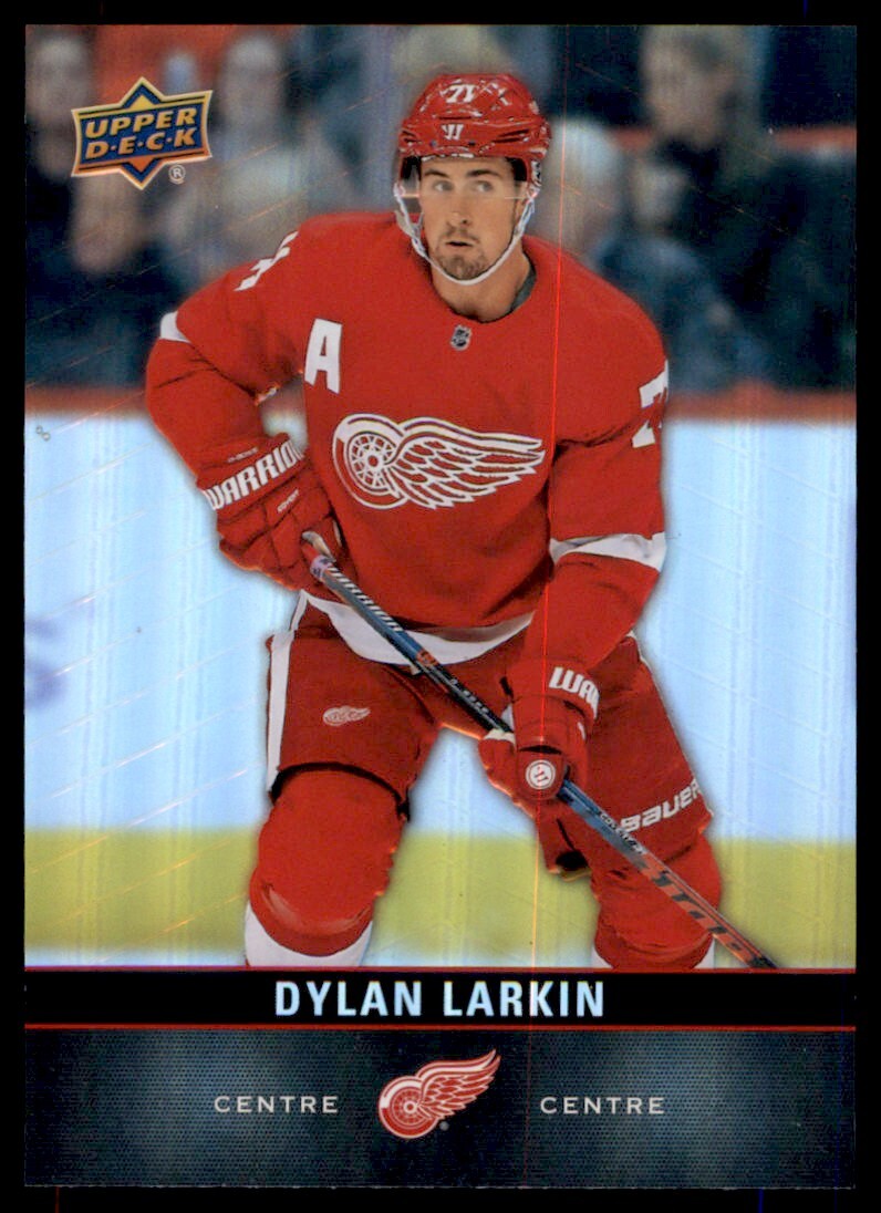 2019-20 Upper Deck Tim Hortons Dylan Larkin #110