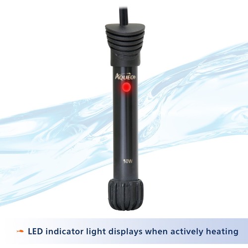 10 Gallon Aquarium Starter Kit Glass w/ Filter & Heater & LED Light & Fish Net - Picture 6 of 11
