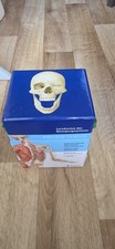 Prometheus Lernkarten des Bewegungssystems vo...
