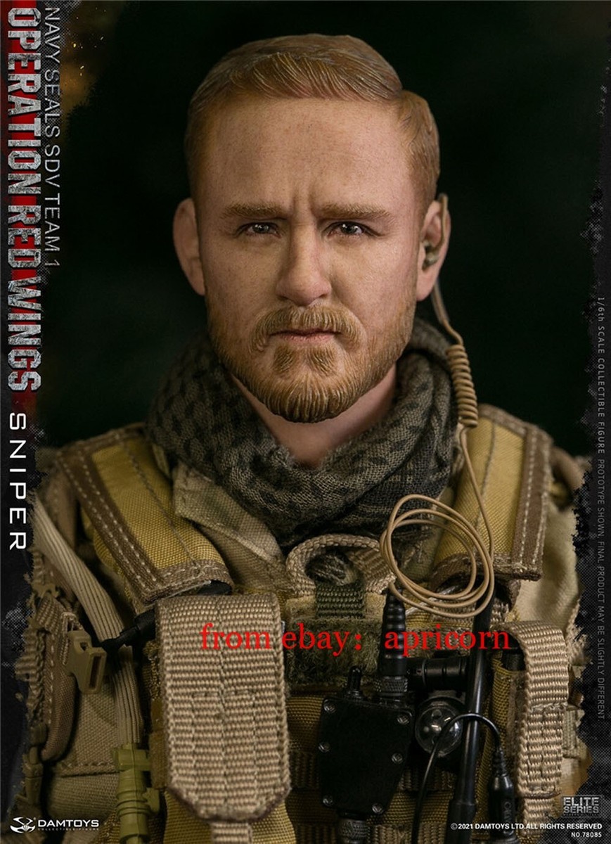 DAMTOYS ネイビーシールズ SDV チーム1 レッドウィングス スナイパー DAMTOYS 78085 Operation Red Wings - NAVY SEALS SDV TEAM 1 - Sniper