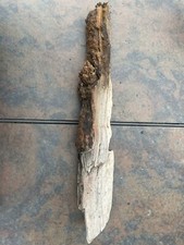Natural Driftwood for Plants Terrarium Taxidermy Art Projects