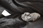 Bild 10 von 10