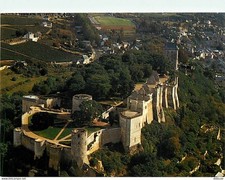 Postcard - 37 - Chinon - The Castle - In the foreground, the Castle of Coudra