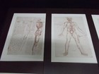 Foto 5 di 9
