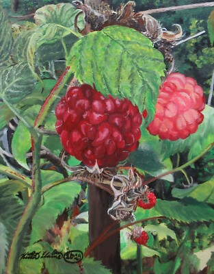 Raspberries, Plants, Nature, Acrylic painting, Original art by N.E.Thompson