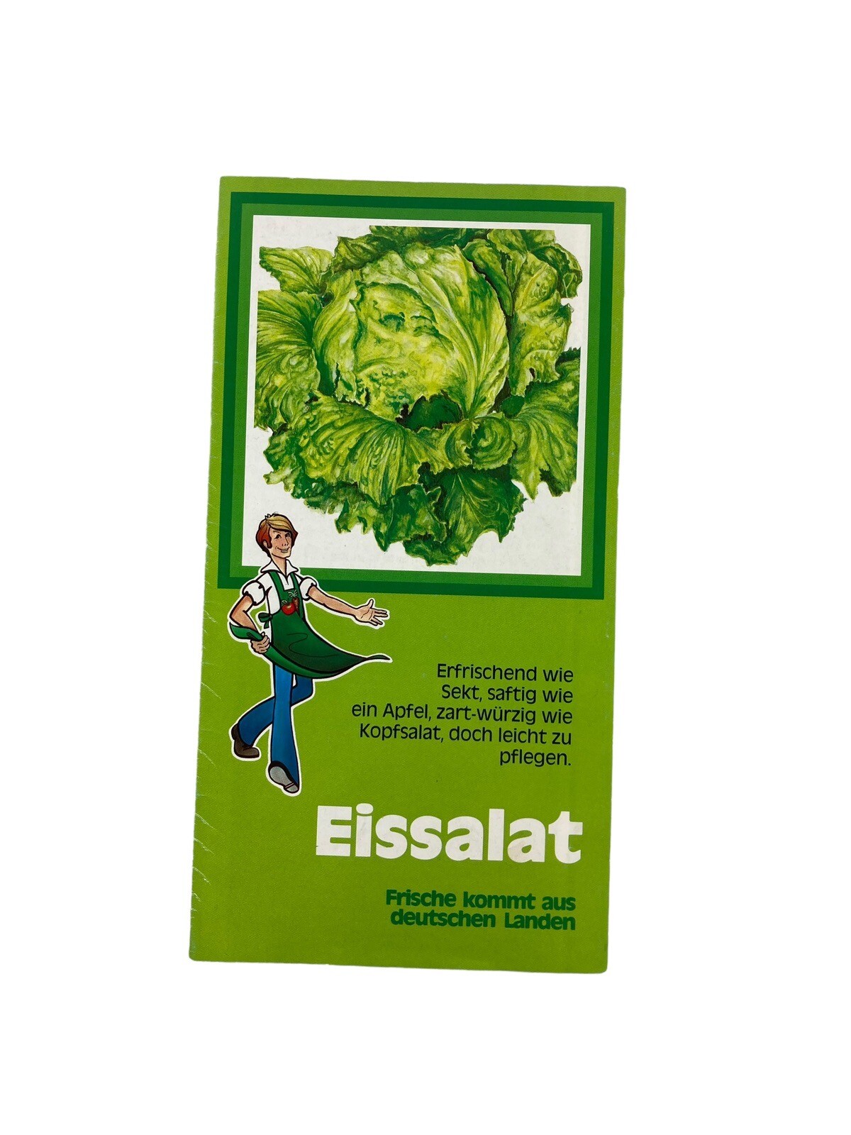 Eissalat Frische kommt aus deutschen Landen Deutsche Agrarwirtschaft Rezepte Alt