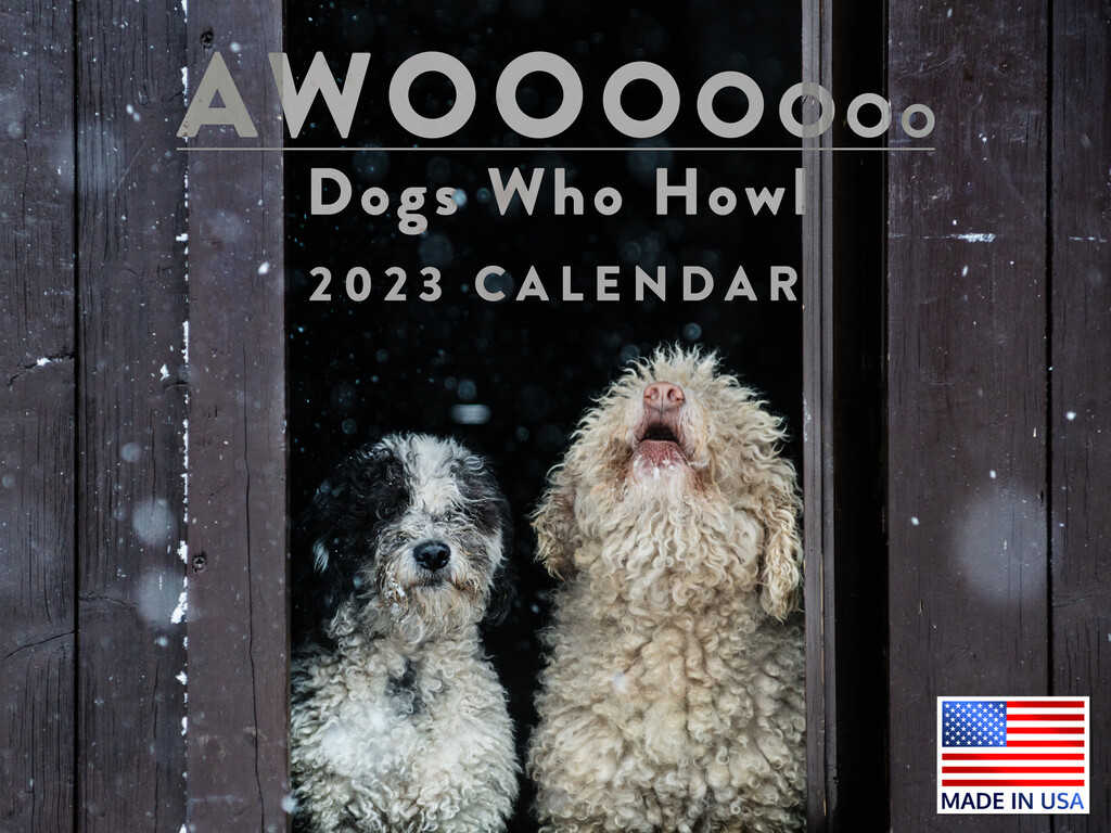 Dogs Who Howl 2023 Wall Calendar Barking Cute Pet Funny 18 Month Monthly  Planner | eBay