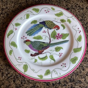 Lynn Chase Parrots of Paradise | eBay