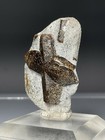 SS Rocks - Staurolite (Murmansk, Oblast, Russia) 16.6g — photo 2