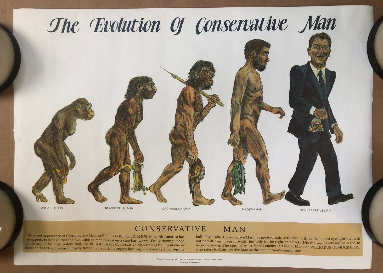 Conservative Person