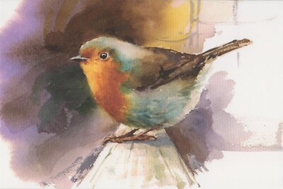 Colorful Birds 1 Card 1 Envelope Blank Greeting Card