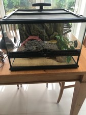 Exo Terra Glass Terrarium 45x45x45cm used, inc all accessories needed for setup