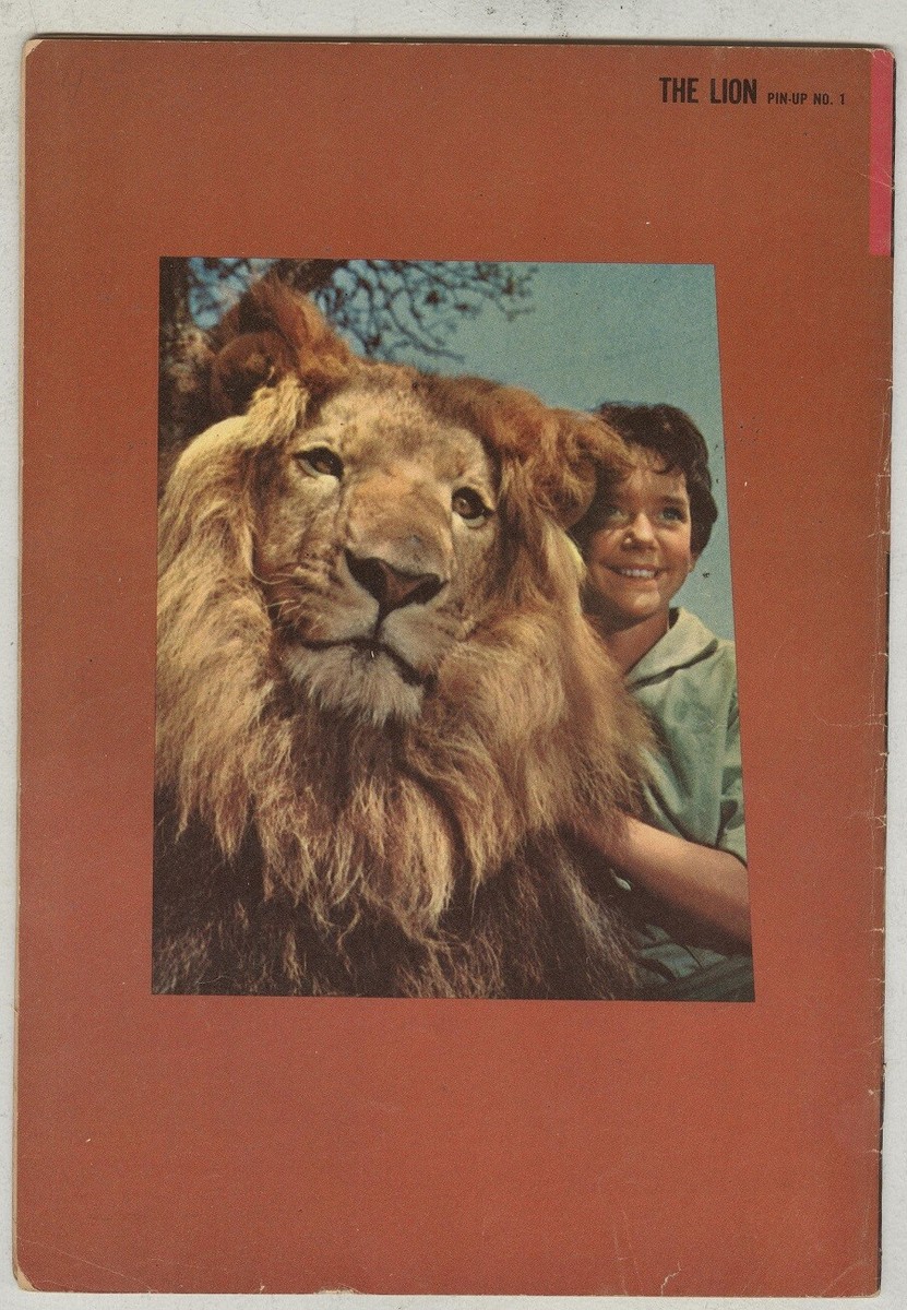 絵画 LIONSAN Felis Leo senegalensis: Brodtmann 1824 – The Antiquarium