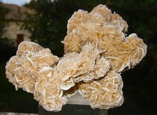 - Minerali Grezzi Cristalloterapia - ROSA DEL DESERTO (98) messico