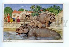 523908 FB Fritz BAUMGARTEN Family happiness ZOO Hippopotamus Ostrich Vintage