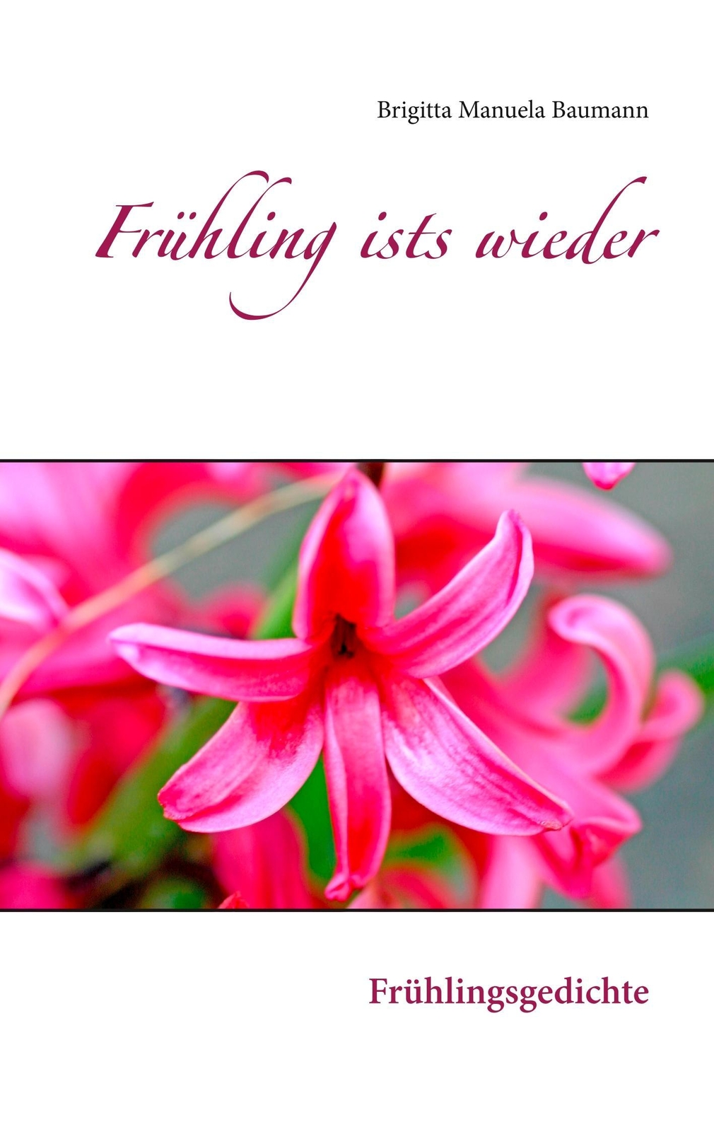Frühling Ists Wieder | Buch | 9783842355705