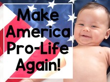 Banner Storm Banner 13 Pro-Life Vinyl Sign