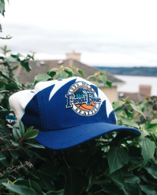 Zephyr NCAA Officially Licensed Hat - Retro Sharktooth Design, Adjustable Team Color Cap