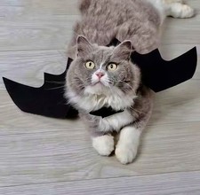 Bat Wings Costume, Small, Black Felt, for Dogs  Cats, Halloween Pet Apparel