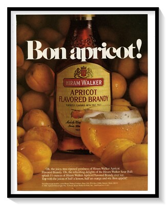 Hiram Walker Apricot Brandy Print Ad Vintage 1983 Magazine Advertisement Art