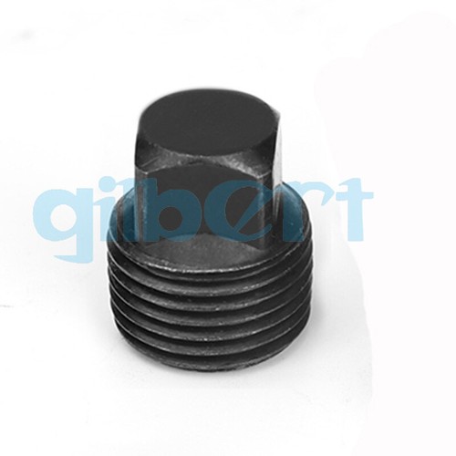 Enchufe extremo de acero al carbono macho 1/8""-2"" BSPT NPT con cabeza cuadrada hidráulica - Imagen 5 de 5
