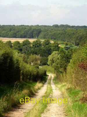 Photo 6x4 Gleadthorpe Grange Meden Vale The Grange barely Visible amongst c2008