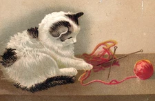 1880s Clarke Bros.' Magic Coffee Omaha NE Playful Cat & Yarn F213