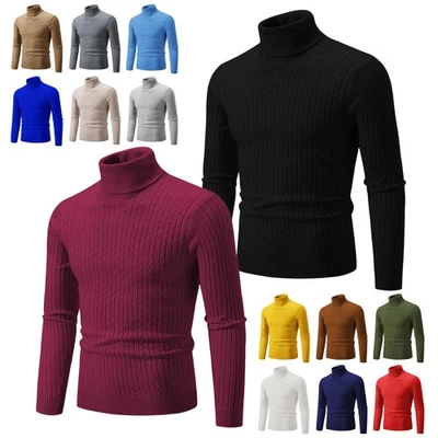 Casual Hommes Col roulé Manches longues Uni Slim Pull en maille Multicolores - Photo 1/4