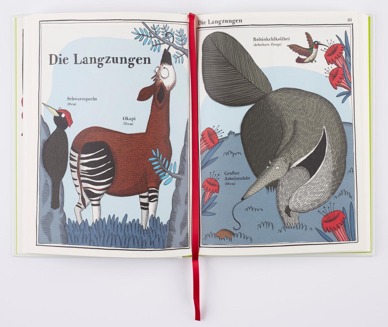 Thumbnail - Walross, Spatz Und Beutelteufel Adrienne Barman