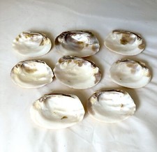 Eight Oyster Shells For Decorating, Crafts, Table Or Oven